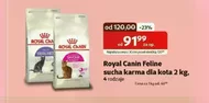 Karma dla kota Royal Canin