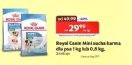 Корм для собак Royal Canin