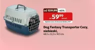 Niebieski Dog Fantasy