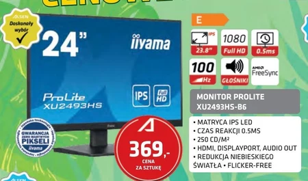 Monitor led Iiyama