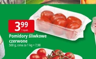 Pomidory