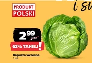 Kapusta młoda Polski