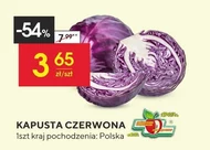 Червонокачанна капуста