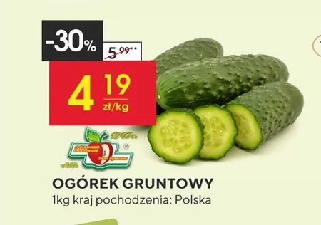 Огірок