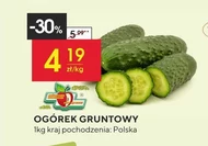 Огірок