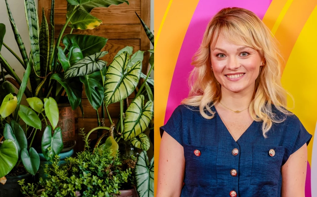 Katarzyna Joda, ekspertka "halo tu polsat"