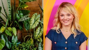 Pierwsza pomoc dla kwiatów po powrocie z urlopu. Kasia Joda radzi: "Nie lej hektolitrów wody"