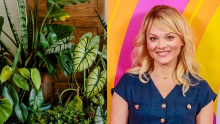 Pierwsza pomoc dla kwiatów po powrocie z urlopu. Kasia Joda radzi: "Nie lej hektolitrów wody"