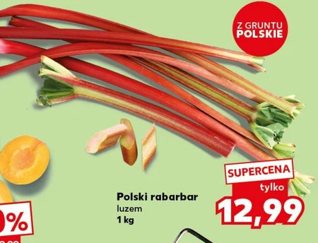 Rabarbar Polski