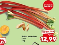 Rabarbar Polski