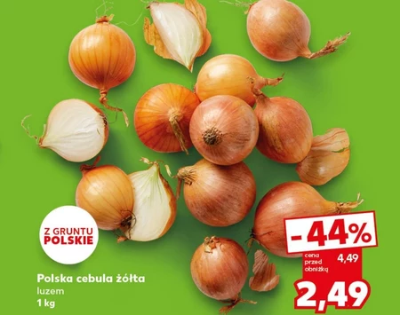 Cebula