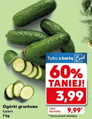 Ogórki