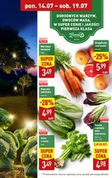 Хіти тижня XXL - Aldi
