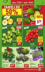 Hity tygodnia XXL - Aldi