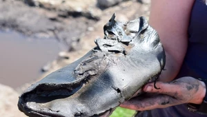 Wykopali ogromne buty na terenie dawnego cesarstwa. Nietypowe odkrycie