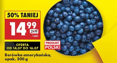 Borówka amerykańska Polski