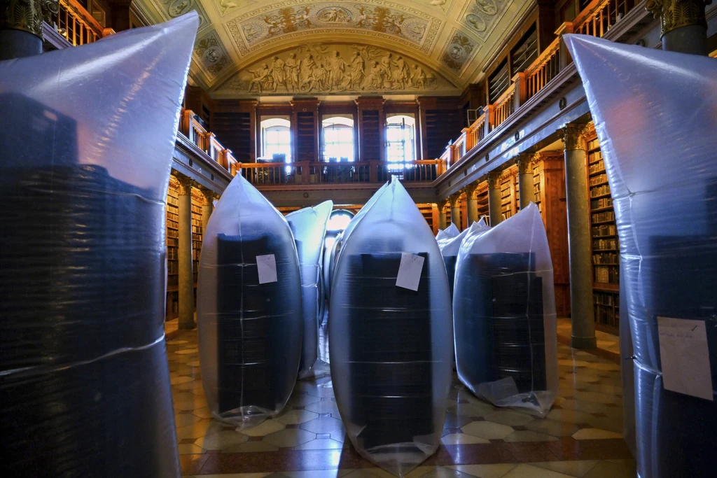 Węgry. W opactwie Pannonhalma wykryto inwazję chrząszcza aptecznego Węgry. W opactwie Pannonhalma wykryto inwazję chrząszcza aptecznego