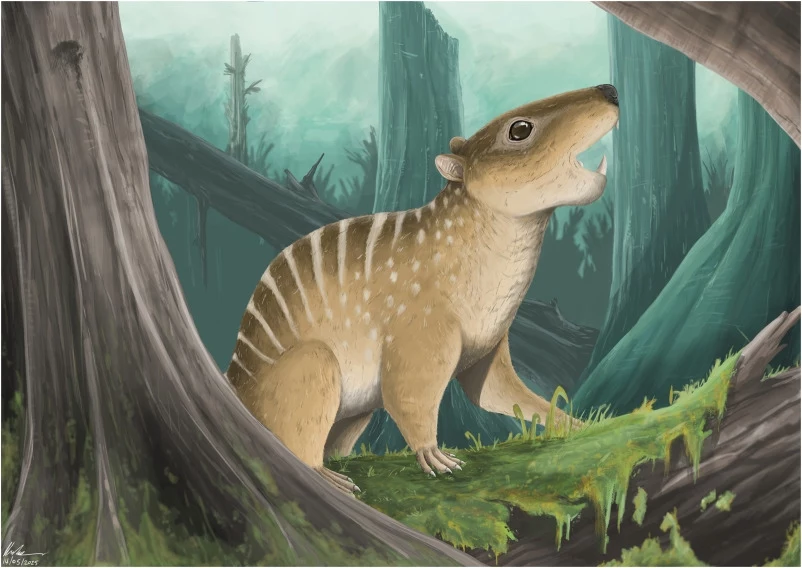 Novaculadon mirabilis to nowy wieloguzkowiec z Anglii Novaculadon mirabilis to nowy wieloguzkowiec z Anglii