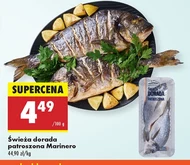 Dorada