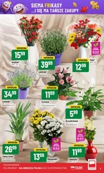 Świeżość każdego dnia! - Polomarket