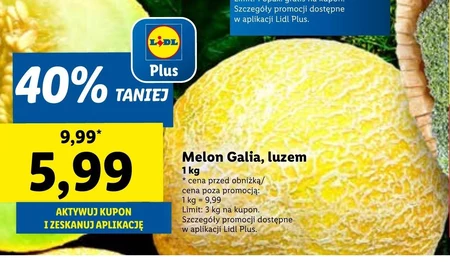 Диня Plus-Plus