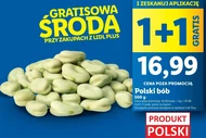 Квасоля широка Polski
