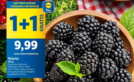 Ожина Plus-Plus