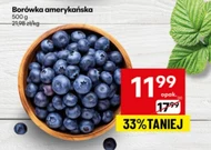 Borówka amerykańska K!