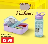 Бідон Pusheen