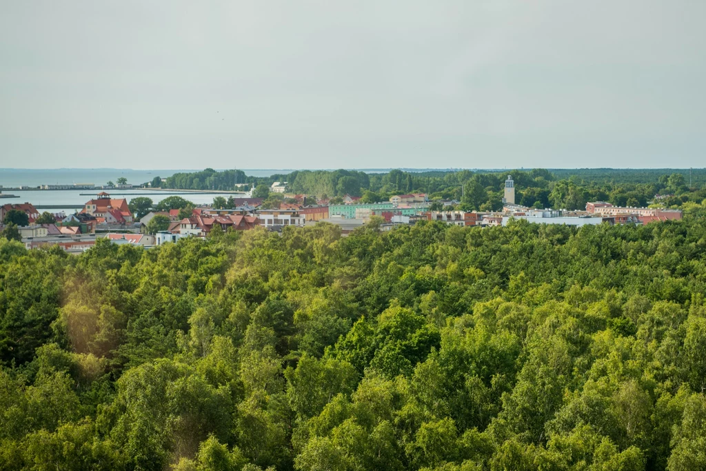 Wakacje na Helu Panorama miasta otoczonego gęstym lasem, w tle widoczne jezioro oraz zabudowania mieszkalne i kościół z wieżą.