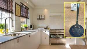 GIS ostrzega przed łyżką durszlakową