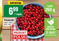 Porzeczki Polski
