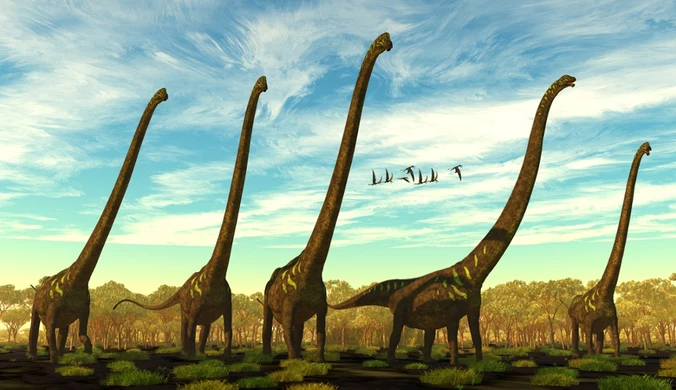 Mamenchizaury to jedne z największych dinozaurów. Znaleziono je w Chinach