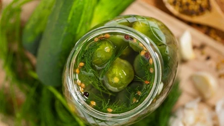 Smaczne i chrupiące korniszony do słoików