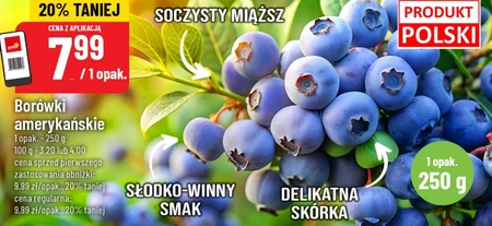Чорниця