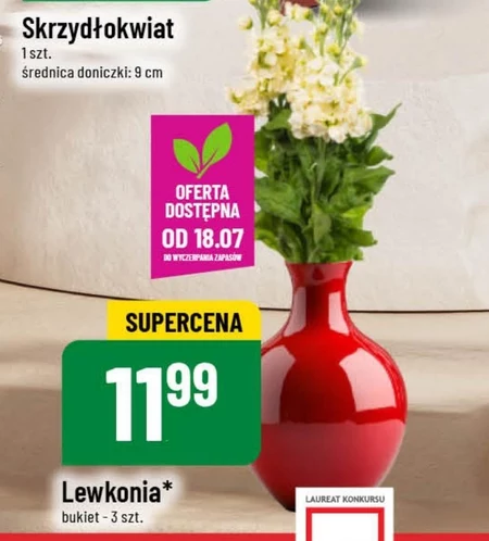 Lewkonia