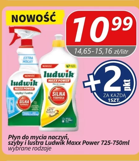 Płyn do naczyń Ludwik