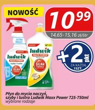 Płyn do naczyń Ludwik