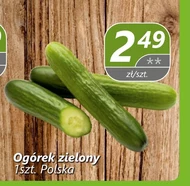 Огірок