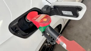 Wielkie obniżki cen paliw na horyzoncie. Kiedy będzie taniej na stacjach?
