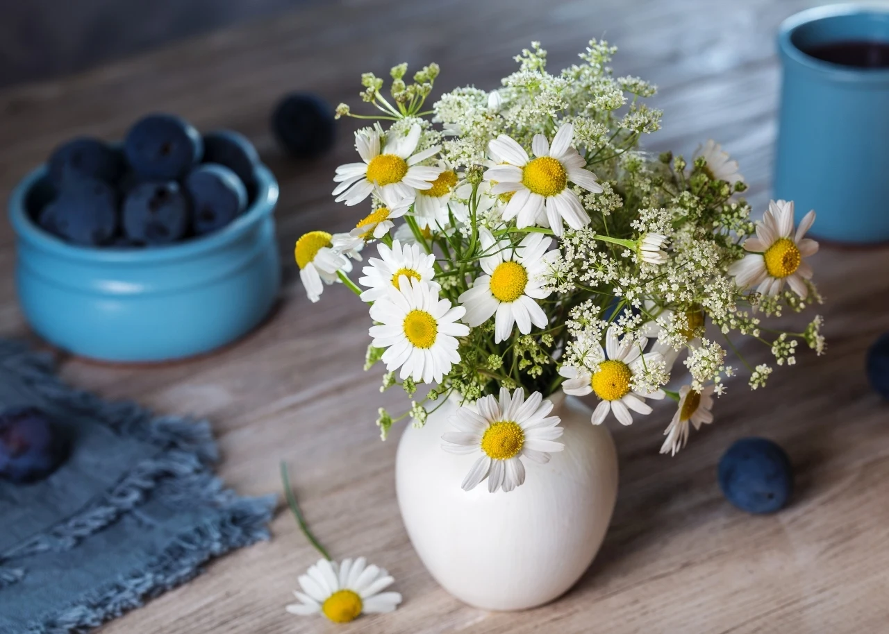 Rumianki ładnie komponują się z wnętrzami w stylu eko