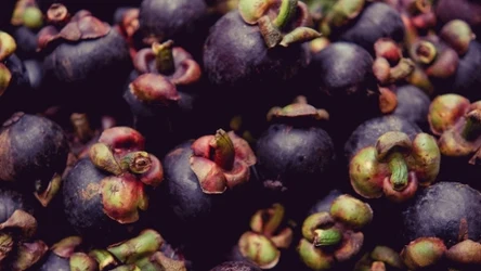 Mangostan jest bogatszym źródłem przeciwutleniaczy niż awokado czy mango