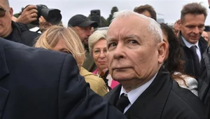 Braun i wystawa w Gdański. Prezes PiS pyta: Czy to skoordynowana akcja?