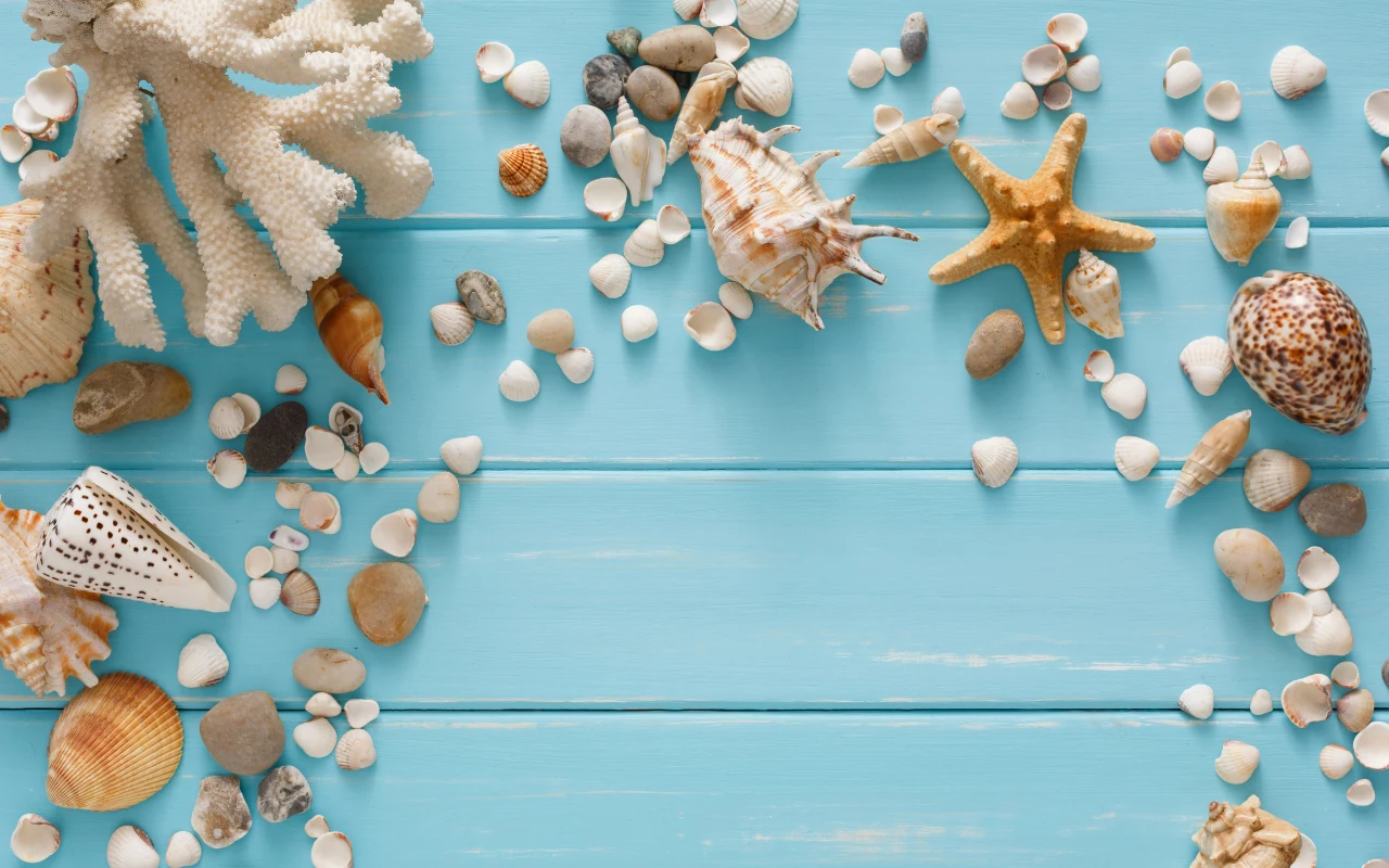 Muszle czy inne pamiątki znad morza mogą być świetnym dodatkiem do wnętrza w wakacyjnym stylu