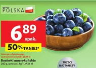 Borówki amerykańskie O...
