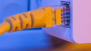Pokazali, jak będzie wyglądać przyszłość internetu
