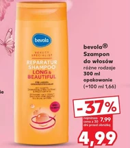 Szampon