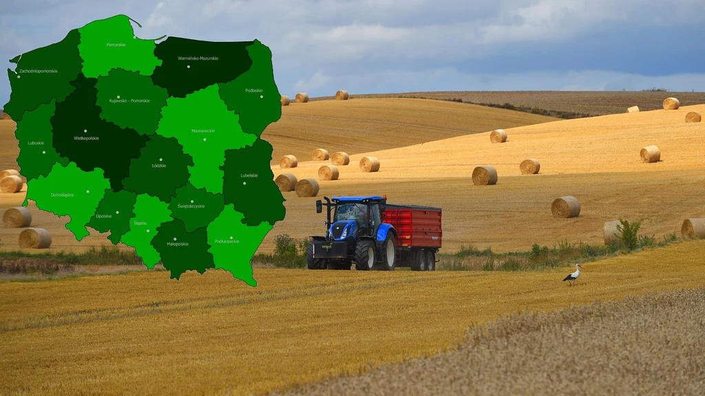 Zmiany w podziale terytorialnym Polski. Od przyszłego roku przybędzie sześć miast