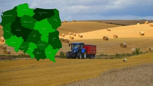 Zmiany w podziale terytorialnym Polski. Od przyszłego roku przybędzie sześć miast