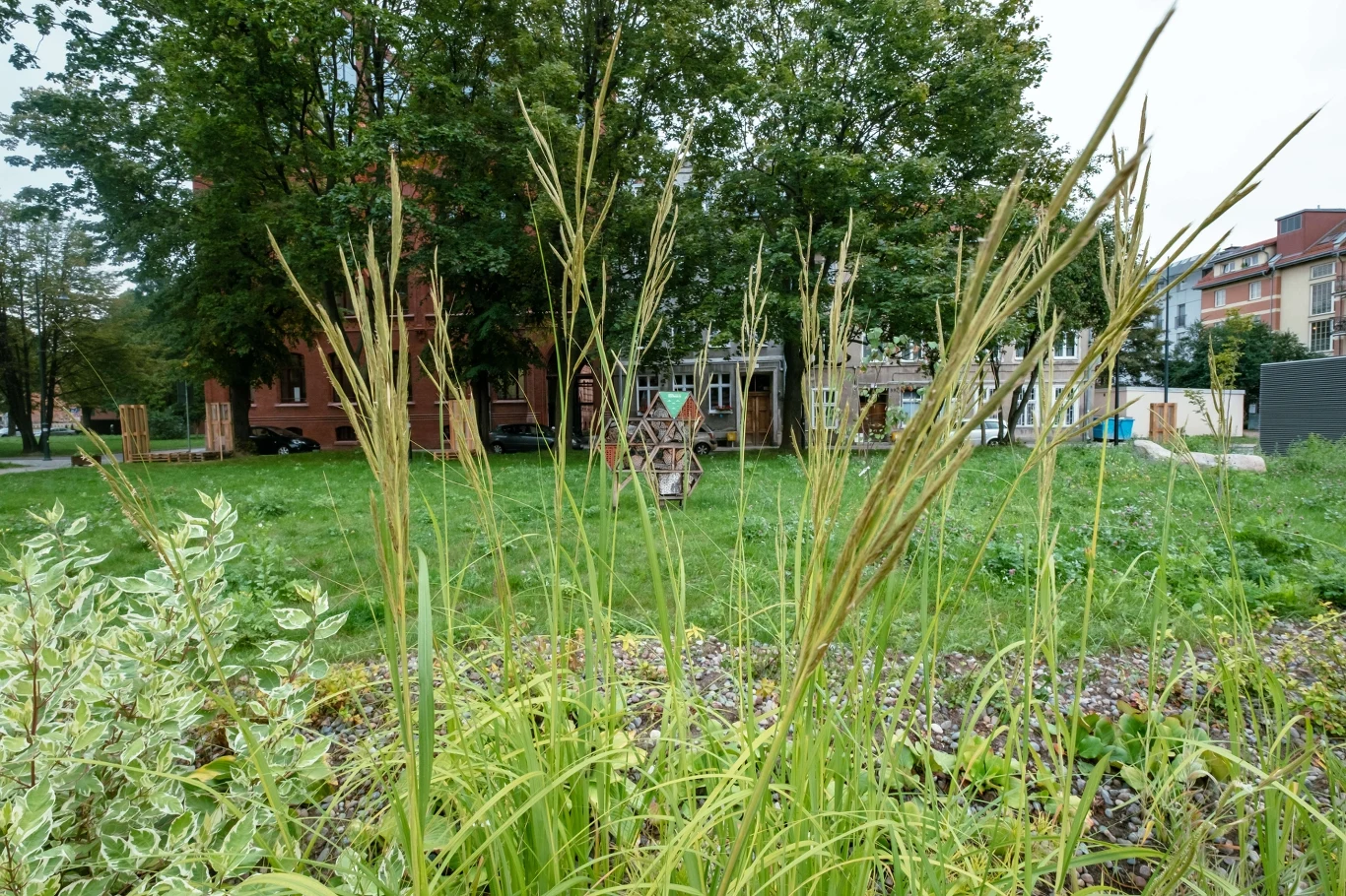 Zieleń miejska w Gdańsku Wysoka trawa na pierwszym planie, zielony skwer, w tle plac zabaw dla dzieci oraz budynki mieszkalne i drzewa.